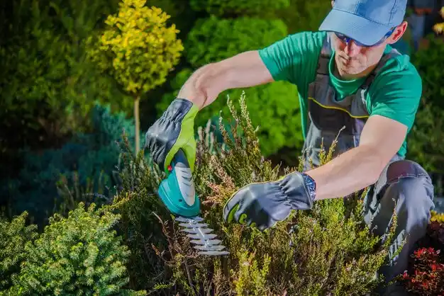 landscaping services Crab Orchard